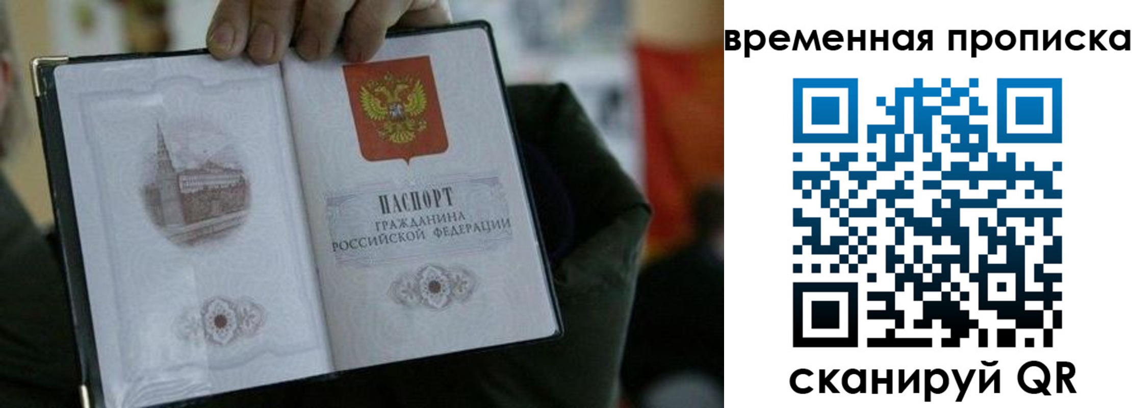 найти адрес прописки в Ярославской области